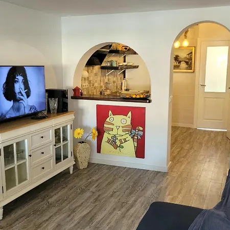 Apartment Apartments